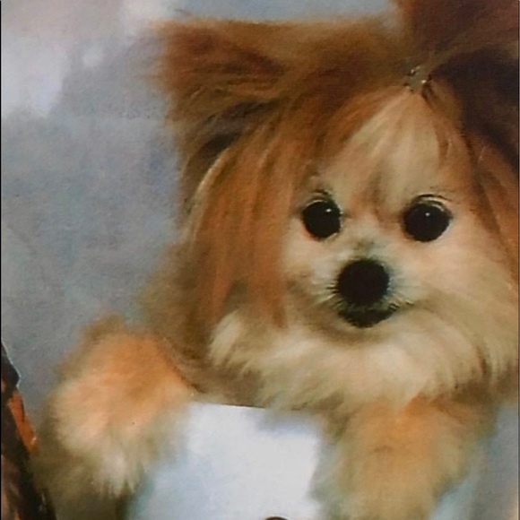 Meet your Posher, Mona - Picture 3 of 9